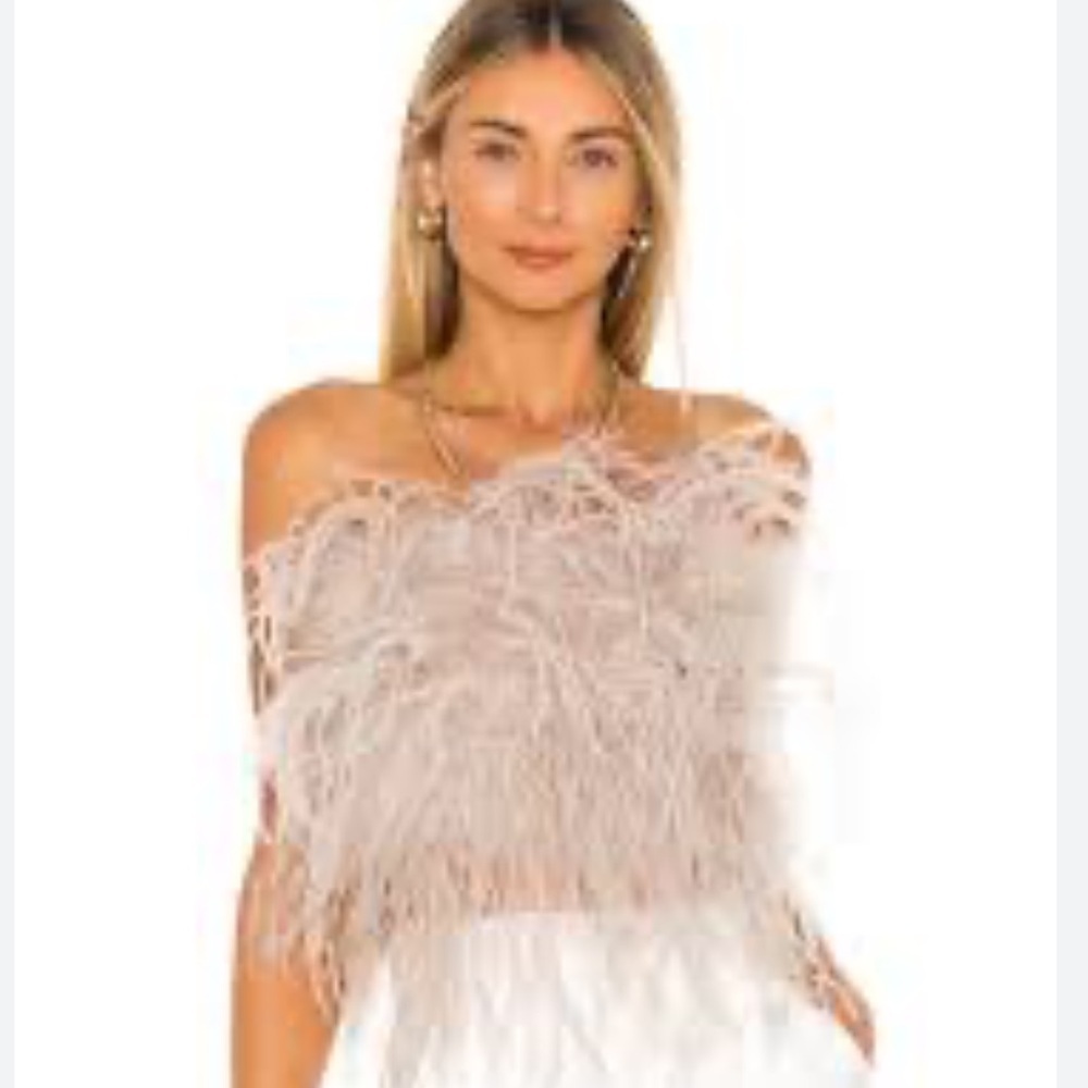 Lamarque Zaina Top in Dusty Rose Crop Top. Worn once!